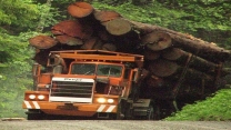 Extreme Dangerous Biggest Wood Logging Truck Operator Skill